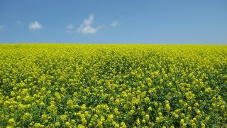絶景ポイントがたくさん！