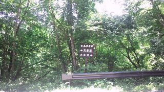 3件の旅館があります