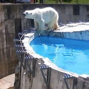 まったり「円山動物園」