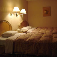 ベッドはシングルとダブルが1台づつ