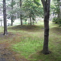 お部屋から庭を臨む