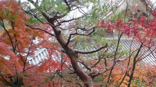 紅葉の永観堂