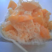 マンゴーごろごろ　もうかるのか