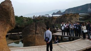 女王と海鮮料理