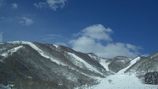 リピーターです。