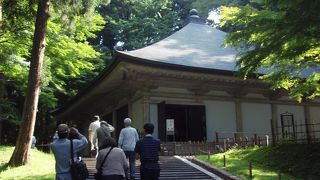 輝く黄金色がみごとでした。