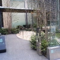 昼はこんな感じ