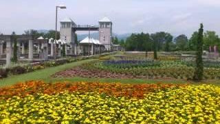 花のテーマパークって感じかな