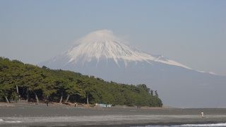 富士と松と海。絶景ポイントです。