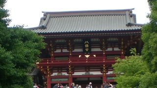 立派だった大銀杏