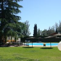 ホテルの敷地内です。