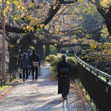 散歩を楽しむ人たち