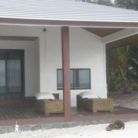 ビーチから見たコテージ。犬もいました。