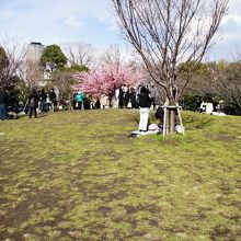 西郷家ゆかりの公園
