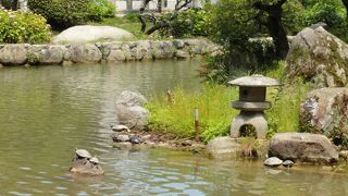 お土産散策も楽しいです