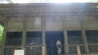 金色堂を500年間　守り抜いた強者です