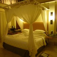 憧れの天蓋ベット☆