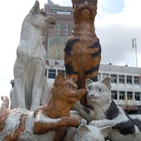 クチンはネコが有名