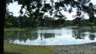 四季折々に美しい事でしょう