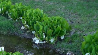 何度行ってもすばらしい