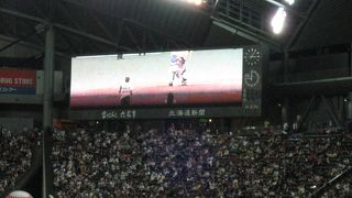 とにかく歩かされますからご注意を。