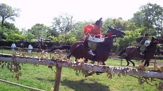 豪快！興奮！上賀茂神社の競馬会神事