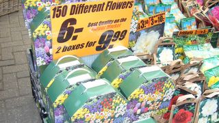 球根や花の種などが充実