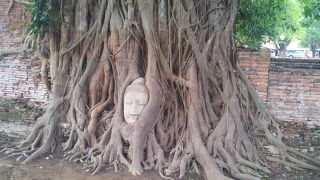 アユタヤといえばここでしょう！