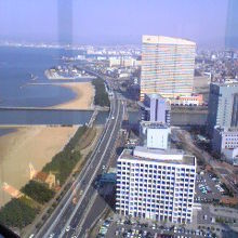 展望台からの景色