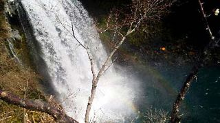 白糸の滝とセットで