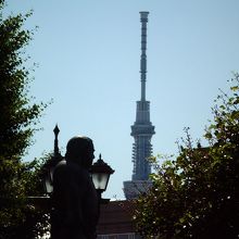 この角度が一番かな。でも太陽の位置を選べるといいのですが。