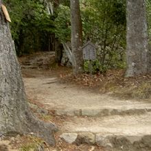 道中は山道なので歩きます