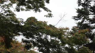 人力車に乗ってより素敵な景色