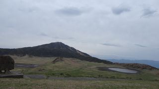 広々とした草原