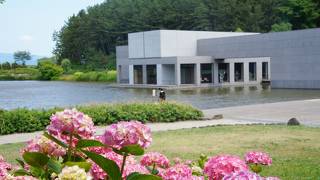 あじさいに囲まれて・・・