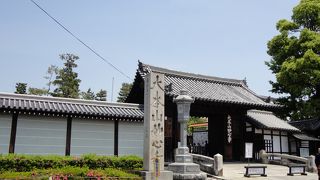 雲龍図が素晴らしい！