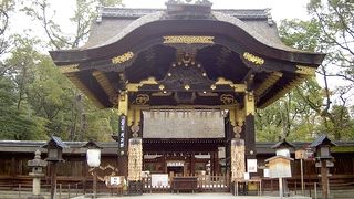 京都にもある、秀吉を祀る神社