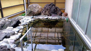 湯を楽しめます