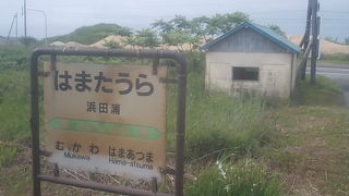 日高本線上の駅らしい侘び寂びのある駅です