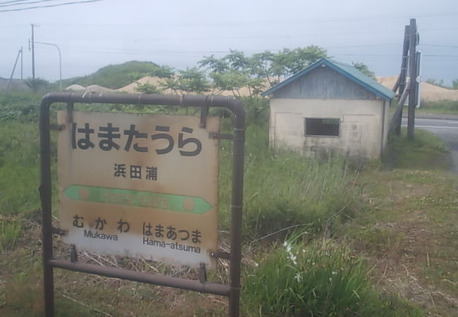 日高本線上の駅らしい侘び寂びのある駅です