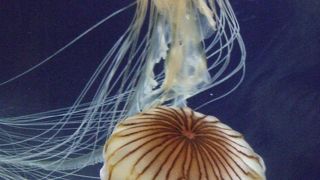 のんびりできる