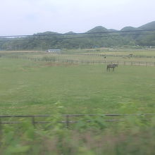 牧場が広がる光景