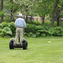 説明を聞いて、簡単に乗ることが出来ました