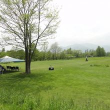 試乗できる場所です。