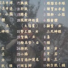 健康歩道の効果が書かれています。