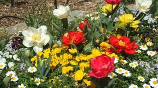 季節によって、、、、