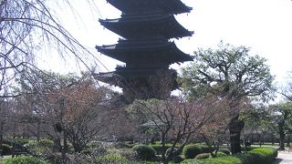 冬の京都非公開文化財特別公開で東寺を訪ねる