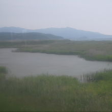 湖沼越しに眺めるアポイ岳