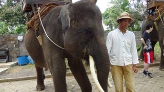 バリ エレファント キャンプ