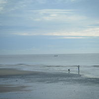 ホテルの敷地から眺める